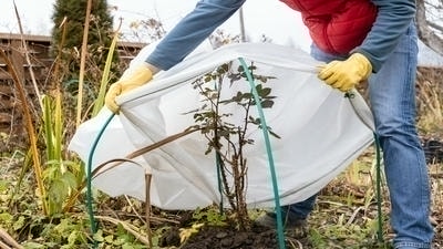 Warmth and protection methods for winter gardens